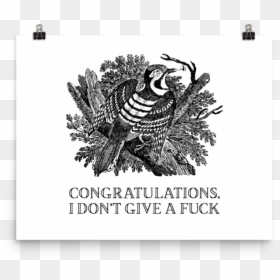 Congratulations, I Don"t Give A Fuck Poster"  Srcset="data - Envelope, HD Png Download - anglerfish png